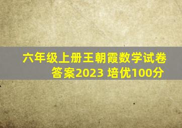 六年级上册王朝霞数学试卷答案2023 培优100分